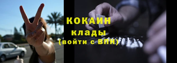 кокс Бородино