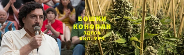 кокс Бородино